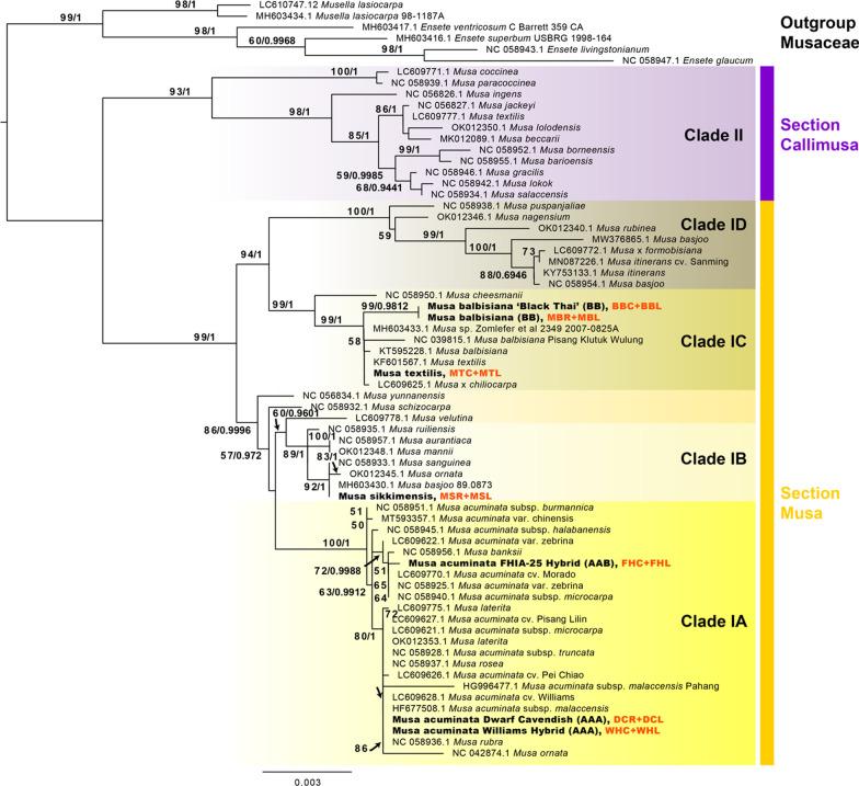 https://cdn.ncbi.nlm.nih.gov/pmc/blobs/75bb/10120106/4215d47f1a58/40793_2023_493_Fig1_HTML.jpg