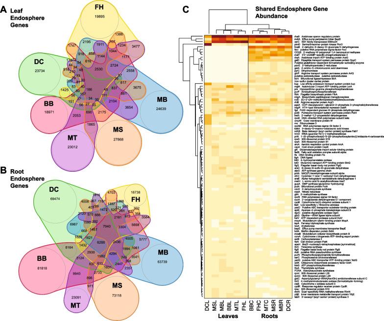 https://cdn.ncbi.nlm.nih.gov/pmc/blobs/75bb/10120106/4b410f274c02/40793_2023_493_Fig6_HTML.jpg