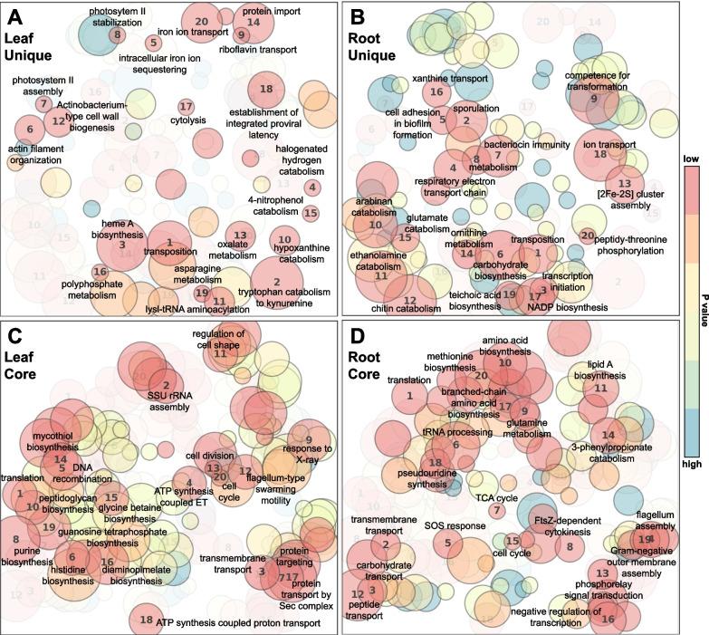 https://cdn.ncbi.nlm.nih.gov/pmc/blobs/75bb/10120106/7dbfc680e823/40793_2023_493_Fig7_HTML.jpg