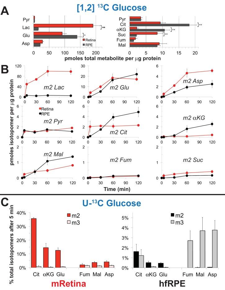 https://cdn.ncbi.nlm.nih.gov/pmc/blobs/75bc/5617631/4df81f869215/elife-28899-fig3.jpg