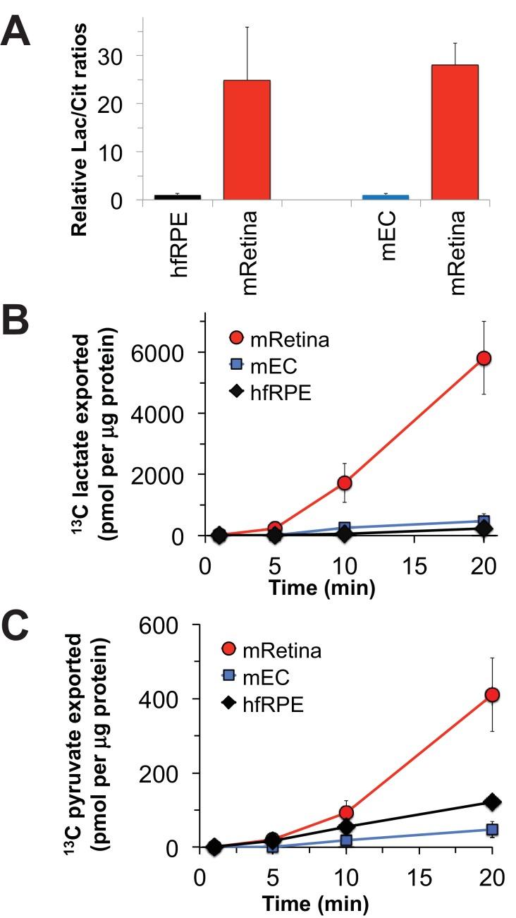 https://cdn.ncbi.nlm.nih.gov/pmc/blobs/75bc/5617631/8ff235fb3dc1/elife-28899-fig4.jpg