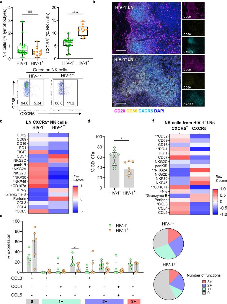 https://cdn.ncbi.nlm.nih.gov/pmc/blobs/75bc/8728057/7b91600a896b/gr3.jpg
