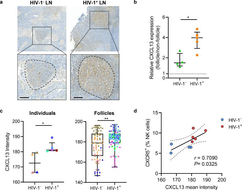 https://cdn.ncbi.nlm.nih.gov/pmc/blobs/75bc/8728057/8ec0c8d85802/gr5.jpg