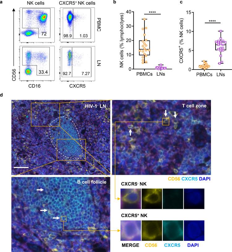 https://cdn.ncbi.nlm.nih.gov/pmc/blobs/75bc/8728057/de16a9ecb6e8/gr1.jpg