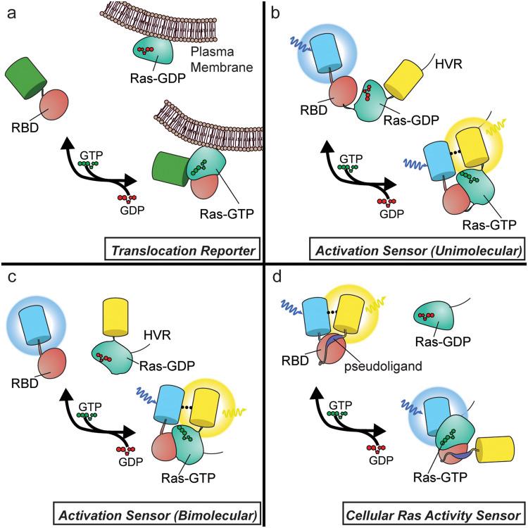 https://cdn.ncbi.nlm.nih.gov/pmc/blobs/75bf/10989514/721ce1201dcc/d3cb00185g-f1.jpg