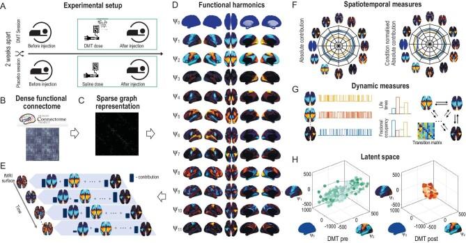 https://cdn.ncbi.nlm.nih.gov/pmc/blobs/75bf/11110867/9b32a77ce6ff/nwae124fig1.jpg