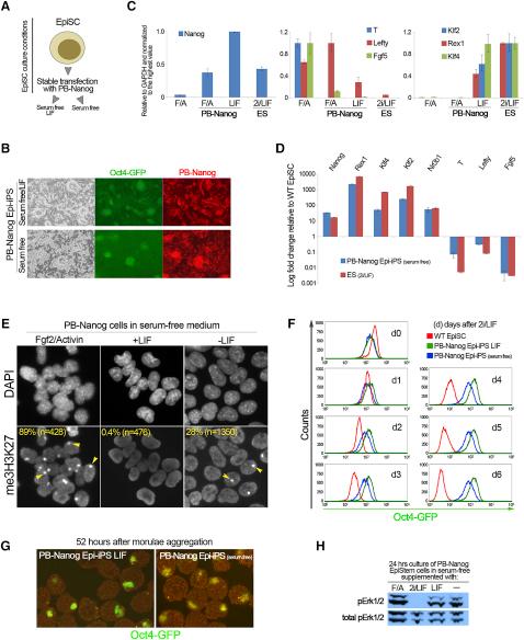 https://cdn.ncbi.nlm.nih.gov/pmc/blobs/75c1/3025321/cbff594abaf3/gr4.jpg