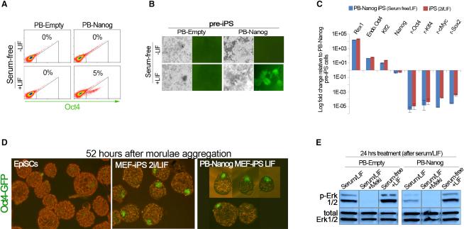 https://cdn.ncbi.nlm.nih.gov/pmc/blobs/75c1/3025321/d6c3e8845c4a/gr3.jpg