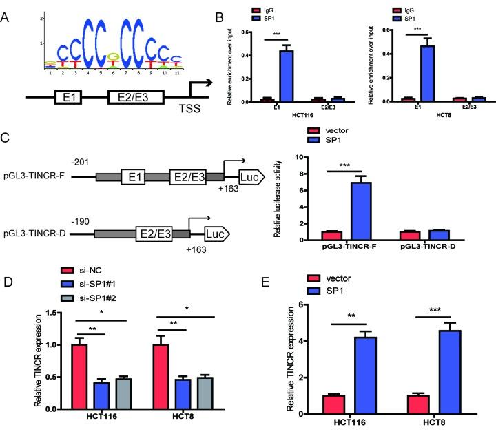 https://cdn.ncbi.nlm.nih.gov/pmc/blobs/75c1/6428101/2439b6c0e1f9/aging-11-101839-g002.jpg