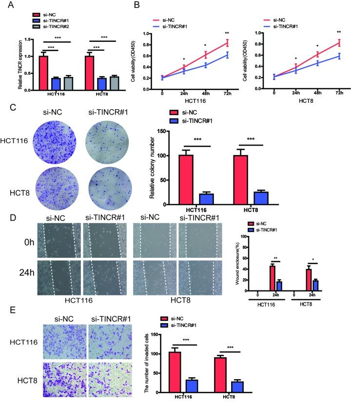 https://cdn.ncbi.nlm.nih.gov/pmc/blobs/75c1/6428101/e8ae300e52b6/aging-11-101839-g003.jpg
