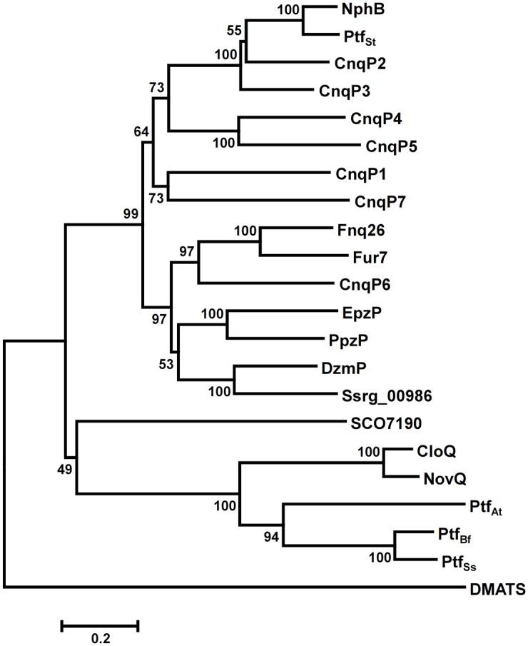 https://cdn.ncbi.nlm.nih.gov/pmc/blobs/75c3/4684245/f676abd6b7af/pone.0143237.g003.jpg