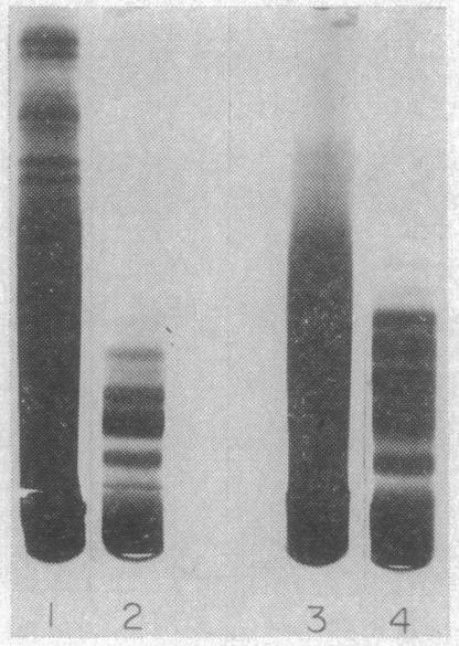 https://cdn.ncbi.nlm.nih.gov/pmc/blobs/75c7/223536/f6381e30c21c/pnas00109-0322-b.jpg