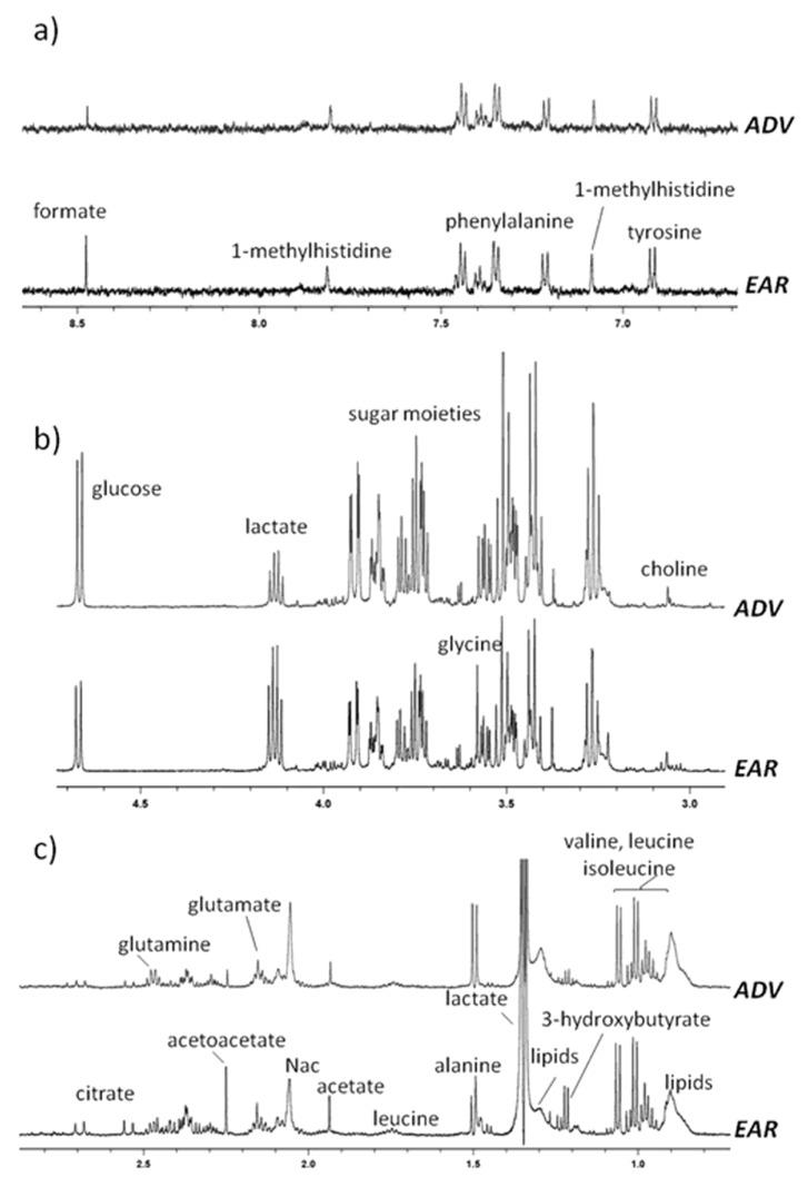 https://cdn.ncbi.nlm.nih.gov/pmc/blobs/75c7/7016798/132427b53496/cancers-12-00241-g001.jpg