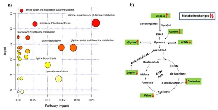 https://cdn.ncbi.nlm.nih.gov/pmc/blobs/75c7/7016798/5f0216217cf6/cancers-12-00241-g003.jpg
