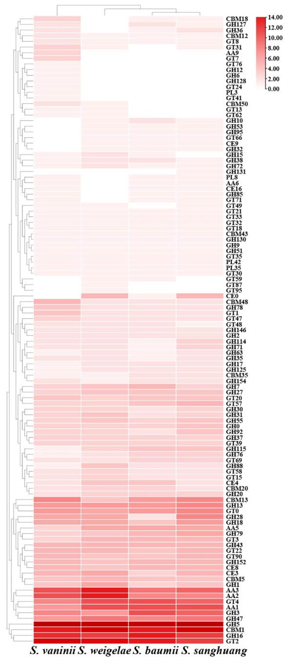 https://cdn.ncbi.nlm.nih.gov/pmc/blobs/75c8/10803629/a6aadec15f1e/fcimb-13-1325418-g003.jpg