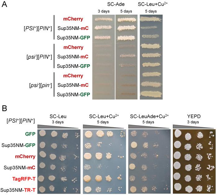 https://cdn.ncbi.nlm.nih.gov/pmc/blobs/75ca/9774836/83cd38ef17d8/biology-11-01688-g002.jpg