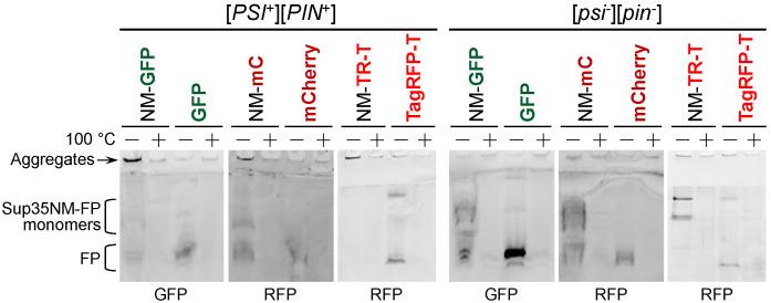 https://cdn.ncbi.nlm.nih.gov/pmc/blobs/75ca/9774836/a112be71a75b/biology-11-01688-g004.jpg