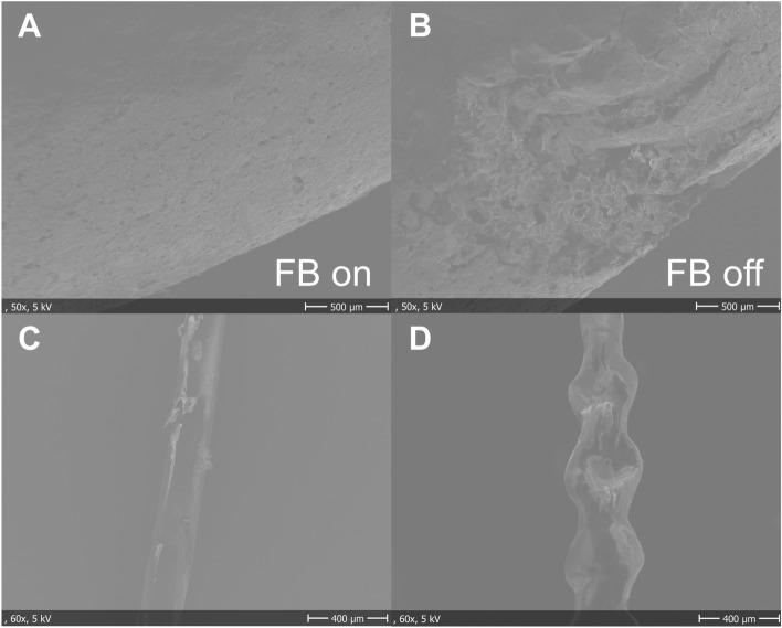 https://cdn.ncbi.nlm.nih.gov/pmc/blobs/75cb/10730604/7b753bdfa1b1/41598_2023_49876_Fig4_HTML.jpg