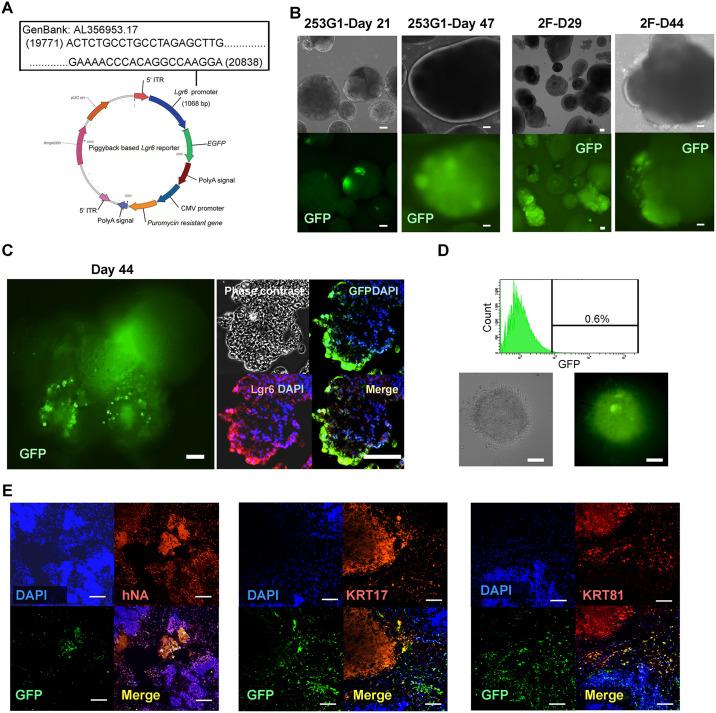 https://cdn.ncbi.nlm.nih.gov/pmc/blobs/75cb/11093308/0a4602a59a45/pone.0303260.g004.jpg
