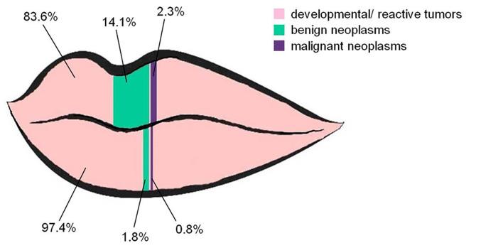 https://cdn.ncbi.nlm.nih.gov/pmc/blobs/75cc/7806354/64895570104b/medoral-26-e36-g001.jpg