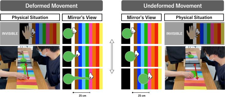 https://cdn.ncbi.nlm.nih.gov/pmc/blobs/75d7/9669698/eb9a2f956fe5/10.1177_20416695221137731-fig2.jpg
