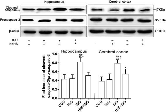 https://cdn.ncbi.nlm.nih.gov/pmc/blobs/75d8/5584335/20835a941417/12871_2017_419_Fig2_HTML.jpg
