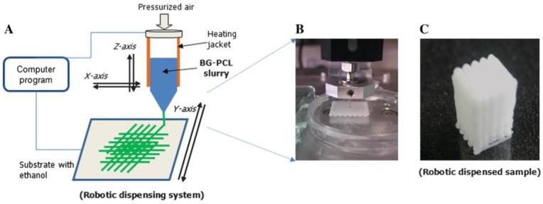 https://cdn.ncbi.nlm.nih.gov/pmc/blobs/75d9/9945144/01478f090a2b/biomimetics-08-00081-g009.jpg