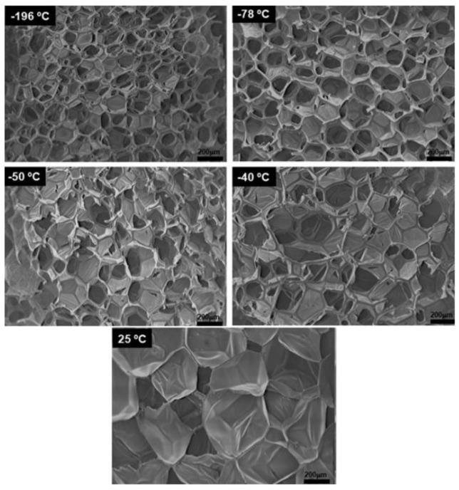 https://cdn.ncbi.nlm.nih.gov/pmc/blobs/75d9/9945144/74a0cd9abc50/biomimetics-08-00081-g005.jpg
