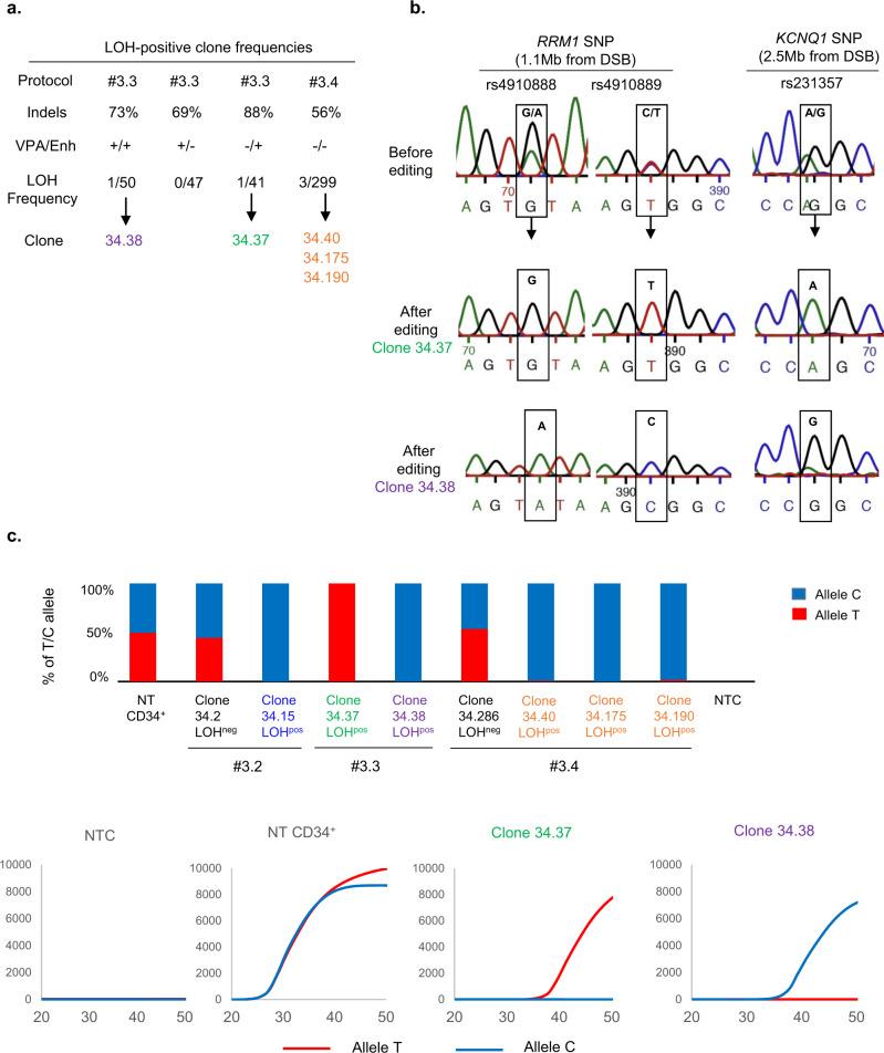 https://cdn.ncbi.nlm.nih.gov/pmc/blobs/75da/8363739/5d6c5d7f35ed/41467_2021_25190_Fig4_HTML.jpg
