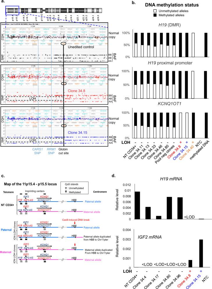 https://cdn.ncbi.nlm.nih.gov/pmc/blobs/75da/8363739/cbe9b6f78724/41467_2021_25190_Fig5_HTML.jpg
