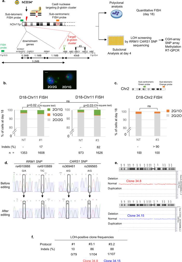https://cdn.ncbi.nlm.nih.gov/pmc/blobs/75da/8363739/fd0e9db98131/41467_2021_25190_Fig3_HTML.jpg
