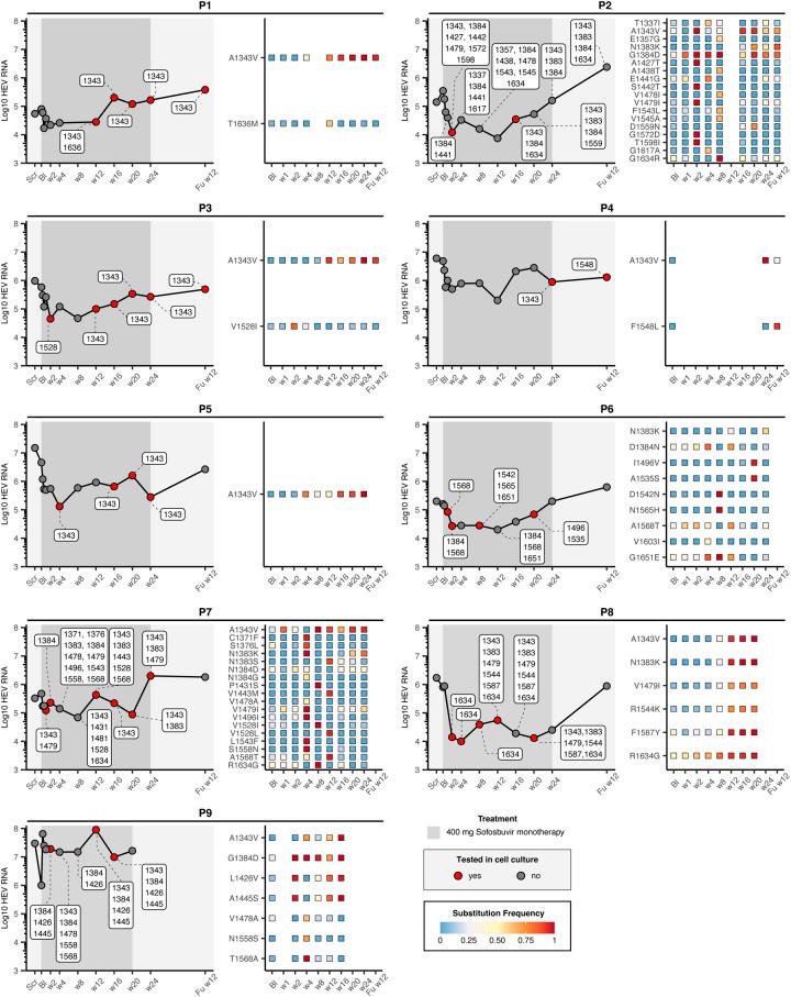 https://cdn.ncbi.nlm.nih.gov/pmc/blobs/75db/10653298/be145655a118/hep-78-1882-g003.jpg