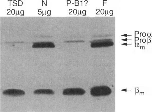 https://cdn.ncbi.nlm.nih.gov/pmc/blobs/75db/1915090/1600a41ba75e/ajhg00020-0063-a.jpg