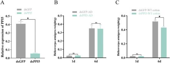 https://cdn.ncbi.nlm.nih.gov/pmc/blobs/75dc/11600268/e26fcf957fd2/ADVS-11-2407826-g002.jpg