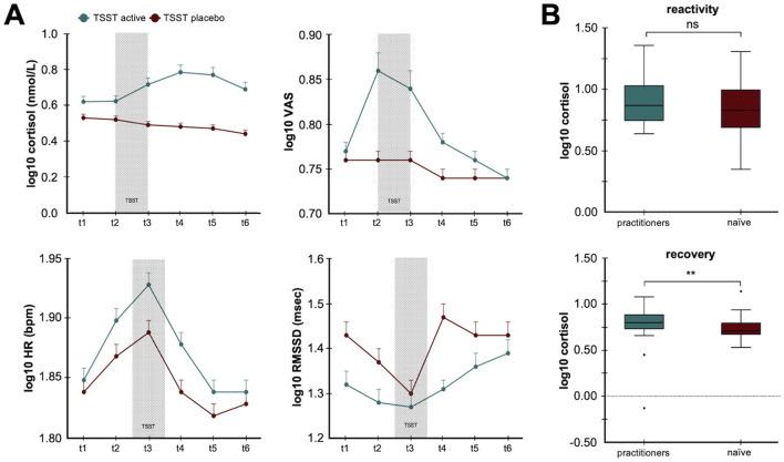 https://cdn.ncbi.nlm.nih.gov/pmc/blobs/75dc/12289630/f43772ca4266/fpsyg-16-1639866-g0005.jpg