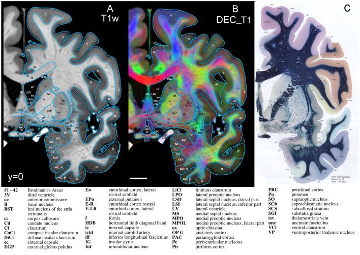 https://cdn.ncbi.nlm.nih.gov/pmc/blobs/75de/10516788/4b5f3fab371a/429_2023_2653_Fig6_HTML.jpg