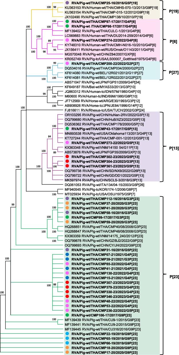 https://cdn.ncbi.nlm.nih.gov/pmc/blobs/75de/12046793/35b74176da0d/12917_2025_4776_Fig4_HTML.jpg