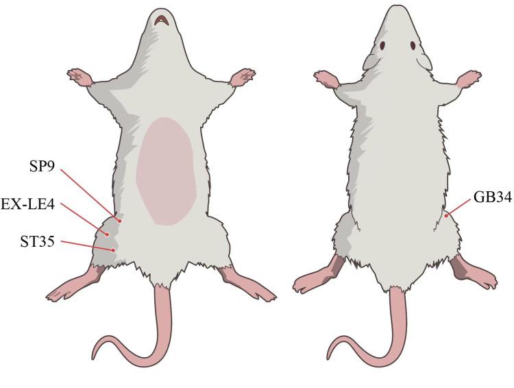 https://cdn.ncbi.nlm.nih.gov/pmc/blobs/75e0/11417114/638b863041c7/JIR-17-6501-g0002.jpg