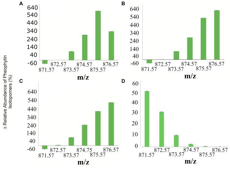 https://cdn.ncbi.nlm.nih.gov/pmc/blobs/75e0/6513882/c338a187db77/fmicb-10-00804-g006.jpg