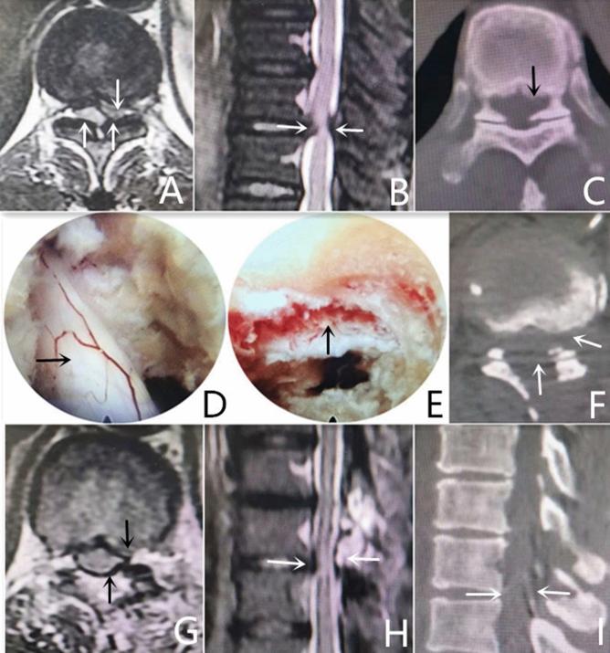https://cdn.ncbi.nlm.nih.gov/pmc/blobs/75e0/9177758/3d2eeecbbea1/41598_2022_13666_Fig2_HTML.jpg