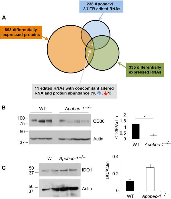 https://cdn.ncbi.nlm.nih.gov/pmc/blobs/75e1/4197816/87e4f7a85f43/gb-2014-15-6-r79-4.jpg