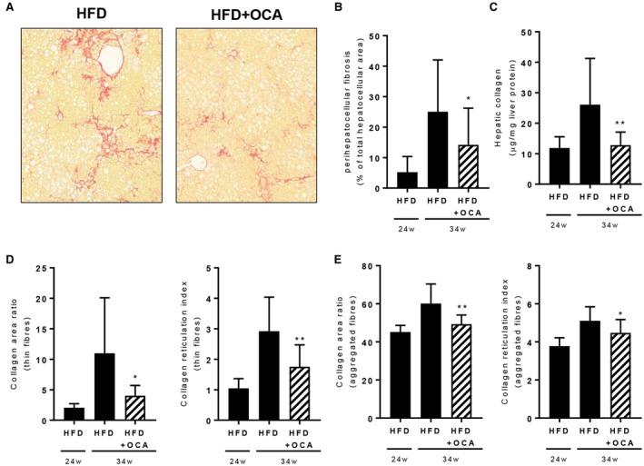 https://cdn.ncbi.nlm.nih.gov/pmc/blobs/75e1/6287481/8849234773e9/HEP4-2-1513-g006.jpg