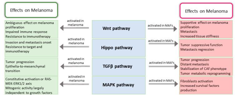 https://cdn.ncbi.nlm.nih.gov/pmc/blobs/75e1/7697272/8f036692e545/cancers-12-03400-g002.jpg