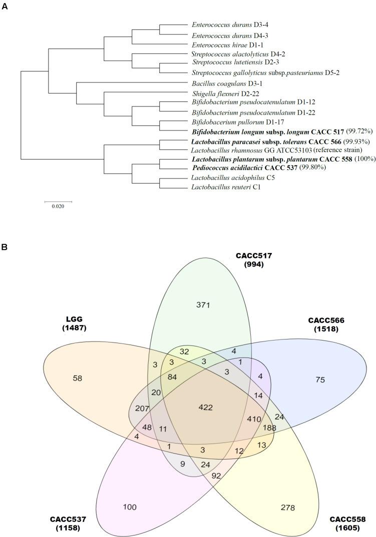 https://cdn.ncbi.nlm.nih.gov/pmc/blobs/75e1/7982664/8b47b71cb591/fmicb-12-625562-g001.jpg