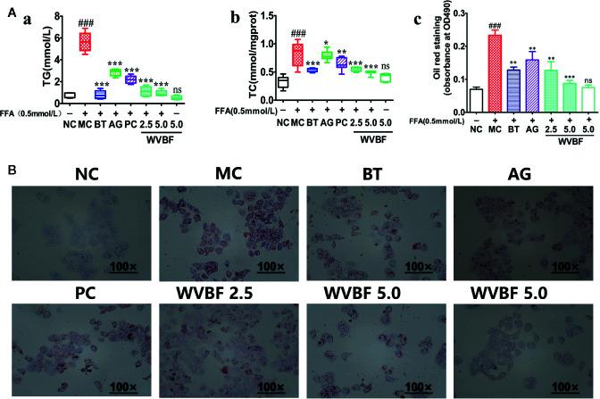https://cdn.ncbi.nlm.nih.gov/pmc/blobs/75e3/7538785/4118b0e1d277/fphar-11-575772-g006.jpg