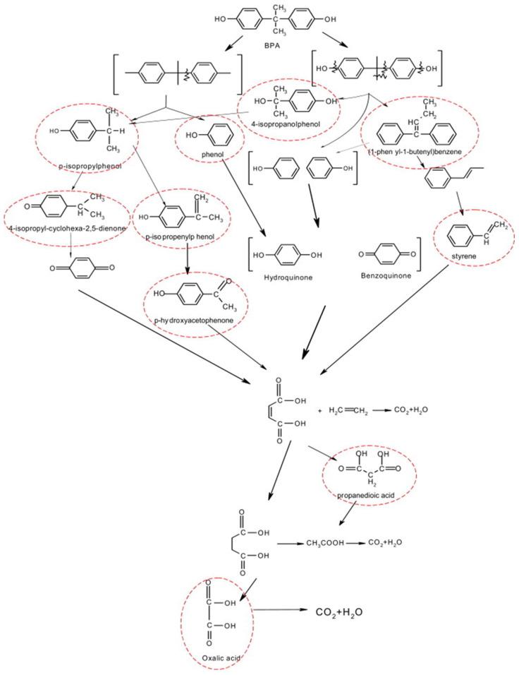 https://cdn.ncbi.nlm.nih.gov/pmc/blobs/75e5/10745807/8ad2ddccd21d/molecules-28-08028-g005.jpg