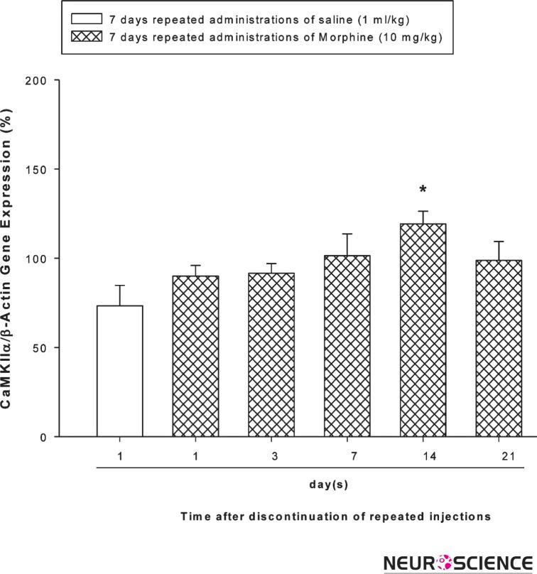 https://cdn.ncbi.nlm.nih.gov/pmc/blobs/75e8/4202531/1062f2a3f986/BCN-4-146-g002.jpg