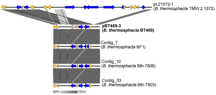 https://cdn.ncbi.nlm.nih.gov/pmc/blobs/75e9/10531132/ec1c5fcde18f/genes-14-01731-g004.jpg