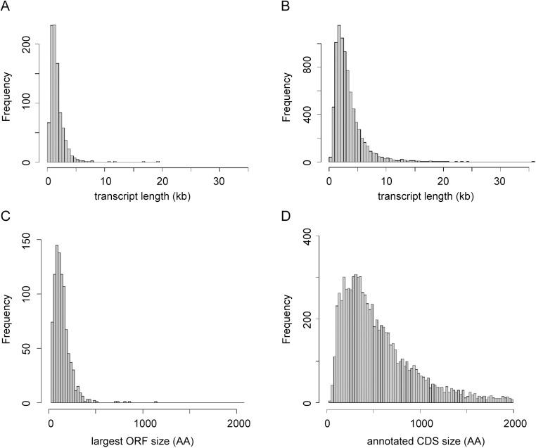 https://cdn.ncbi.nlm.nih.gov/pmc/blobs/75ec/4599935/8722187548de/ppat.1005186.g003.jpg