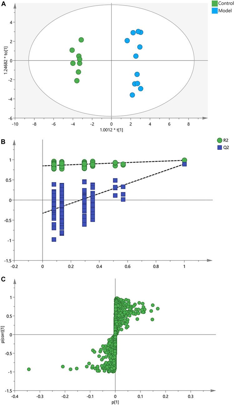 https://cdn.ncbi.nlm.nih.gov/pmc/blobs/75ec/8043081/8e334cb6c25c/fphar-12-599180-g003.jpg